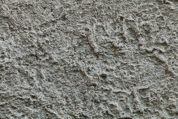 The texture of the decorative finish of the wall.