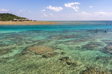 Fototapeta na wymiar 沖縄　奥武島の青い海