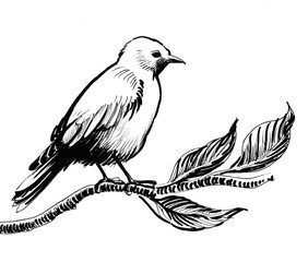 Obraz premium Bird on a branch