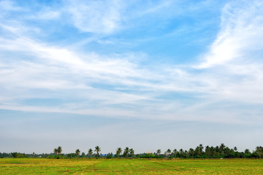 Prairie Sky