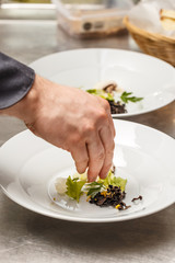 Chef arranged his plates