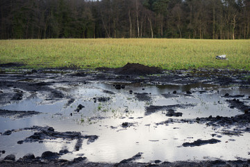 Baggerspuren