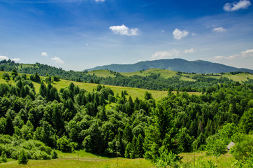 Fototapeta na wymiar Summer mountain landscape, green hills and trees in the warm sunny day
