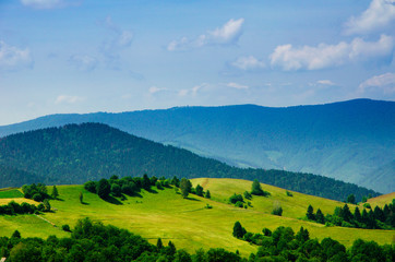 Summer mountain landscape, green hills and trees in the warm sunny day
