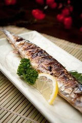 grilled saury