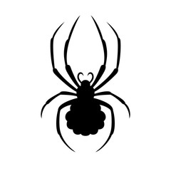 Spider, shade picture