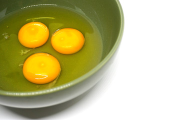 Egg yolke in green bowl