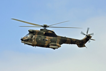 South African Air Force Oryx Helicopter No. 1243.