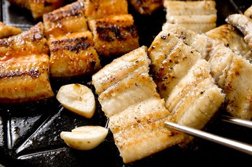 grilled eel