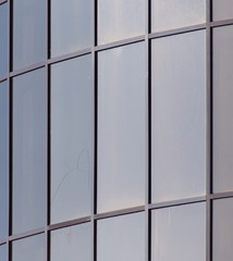 glass windows of the building as a backdrop