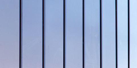 glass windows of the building as a backdrop