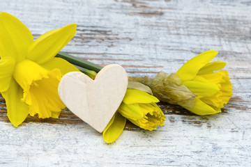 Heart and daffodil lying on wood