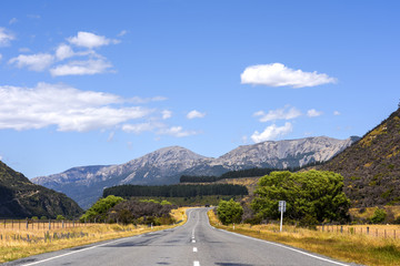 empty road laying to the forest mountain with blue cleared sky