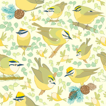 Gold crest pattern. Cartoon birds. Hand drawn. Vector illustration