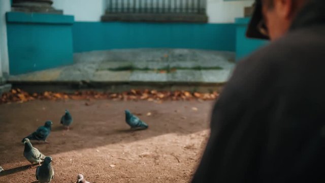 Older Man Feeding Pigeons