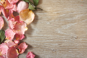 Pink rose petals on wooden background