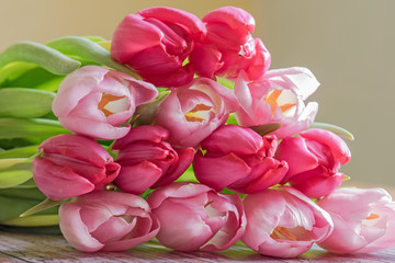 Blumenstrauß aus pink- und rosafarbenen Tulpen; Nahaufnahme eines Blumenstraußes aus Tulpen