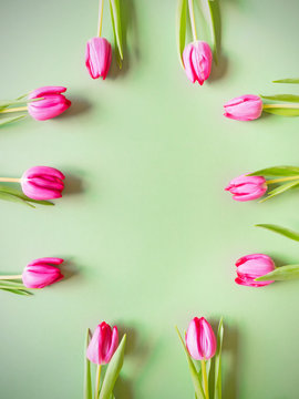 &Ouml;sterlicher Hintergrund aus gr&uuml;ner Pappe mit rosa Tulpenbl&uuml;ten am Rand