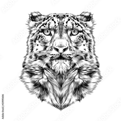 The Head Of The Snow Leopard Full Face Symmetry Black And White Drawing Sketch Vector Graphics Wall Mural Serafima Manekina