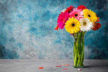 Colorful bunch of gerbera flowers in a glass vase. Blue stone background. Copy space