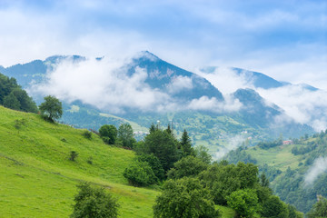 Foggy Plateau Highland with Giresun - Turkey
