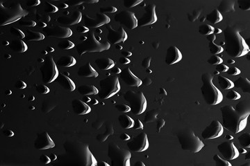 Water droplets on a black background