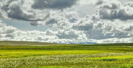 Open grassland with cloudscape and shield volcano in background. Iceland.