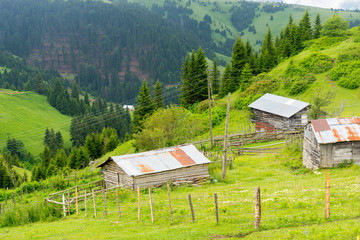 Foggy Plateau Highland with Giresun - Turkey