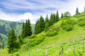 Fototapeta premium Foggy Plateau Highland with Giresun - Turkey