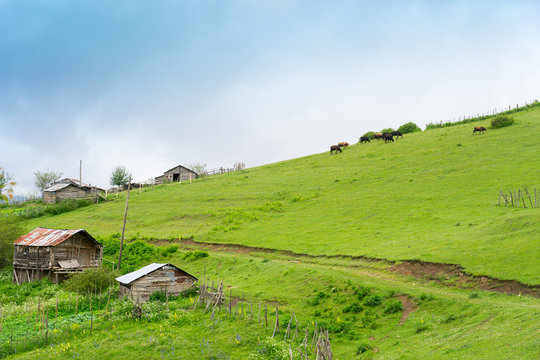 Giresun Bilder Durchsuchen 1,223 Archivfotos, und