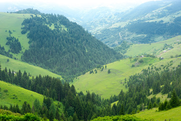 Foggy Plateau Highland with Giresun - Turkey