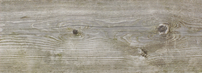 Graues Holzbrett mit Holzstruktur, helles Holz, Holzmaserung
