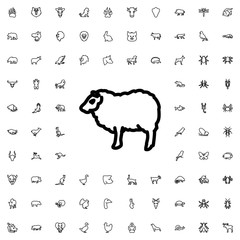 sheep icon illustration
