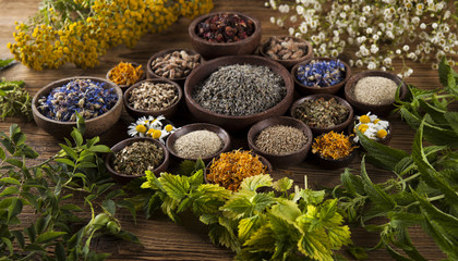 Obraz na płótnie Canvas Herbs medicine and vintage wooden desk background
