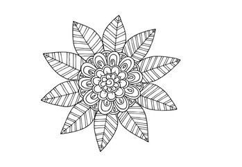 Black and white flowers as design element.