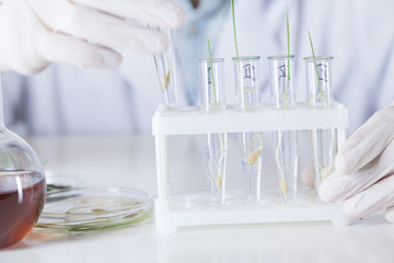 the scientist has a test tube with a plant in a stand for vials