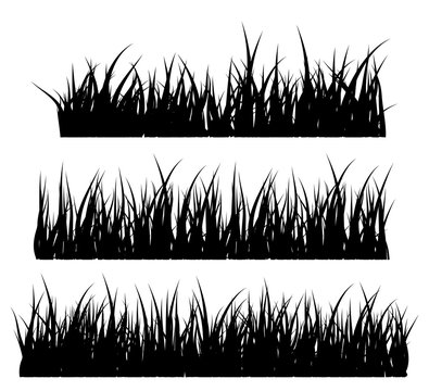 Grass silhouette vector symbol icon design.
