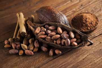 Aromatic cocoa, powder and Dark chocolate background