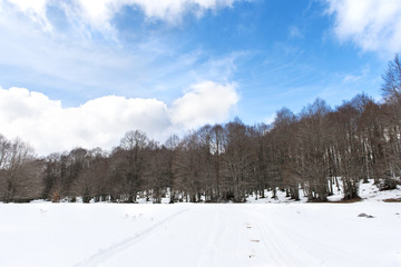 Snowy winter landscape