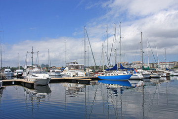 Marina in Victoria Harbour