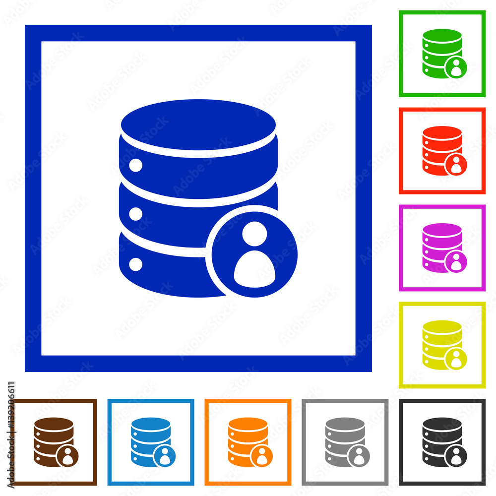 Poster database privileges flat framed icons
