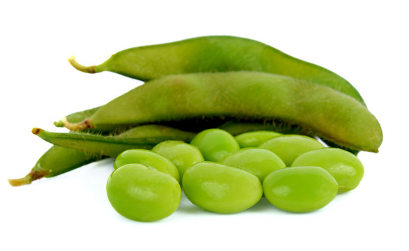 green soybeans Janpan isolated on white background