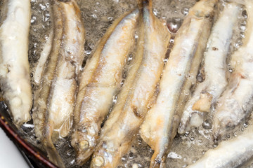 capelin in the flour fried in a pan