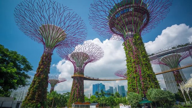 Singapore Super trees Motion timelapse
