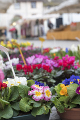 fleurs sur un marché traditionnel
