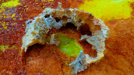 Fototapeta premium Salt structure close-up inside Dallol volcanic crater in Danakil depression Afar, Ethiopia