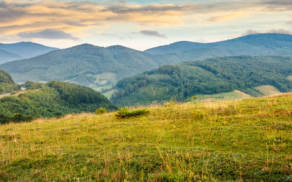 grassy meadow in mountains at sunrise
