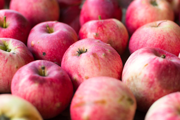 Group of red apples on wooden table background. Summer seasonal garden apples.