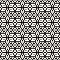 Trendy Monochrome Line Lattice. Vector Seamless Black and White Pattern.