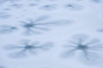 Obraz premium 凍った湖面の花模様